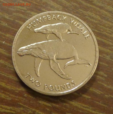 Ю.Георгия и Ю.Сэндвичевы о-ва - КИТЫ-ГОРБАЧИ до 25.09, 22.0 - Юж. Джорджия и Юж. Сандвичевы о-ва 2ф Киты-Горбачи_1