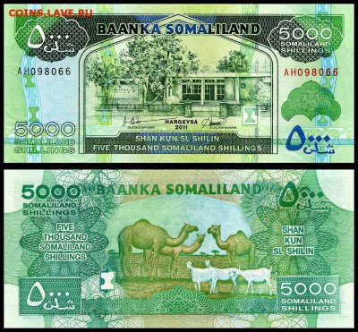Сомалиленд 5000 шиллингов 2011 г. UNC до 24.09. в 22:00 мск. - 5962150