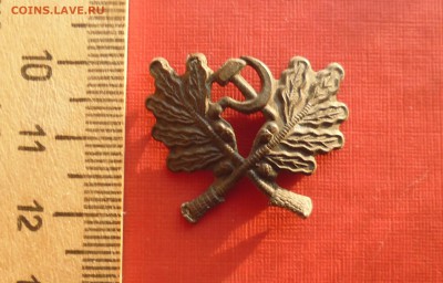 кокарда лесника 1930-40 е года до 20.09.18г в 22.10 мск - IMG_20180910_204852.JPG