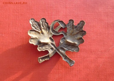 кокарда лесника 1930-40 е года до 20.09.18г в 22.10 мск - IMG_20180910_204955.JPG