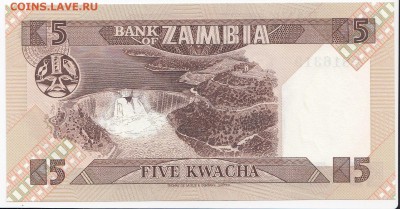 ЗАМБИЯ - 5 квач 1980 г. пресс до 25.09 в 22.00 - IMG_20180919_0001