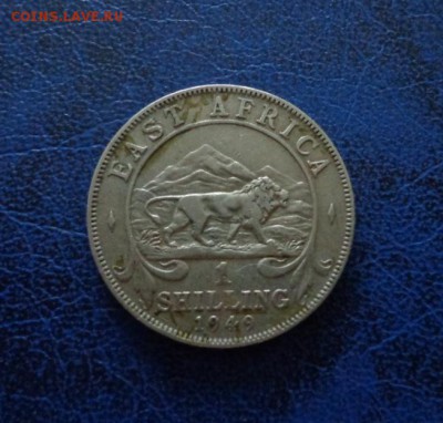 Бр. Восточная Африка 1 шиллинг 1948   до 23.09 - DSC00039.JPG
