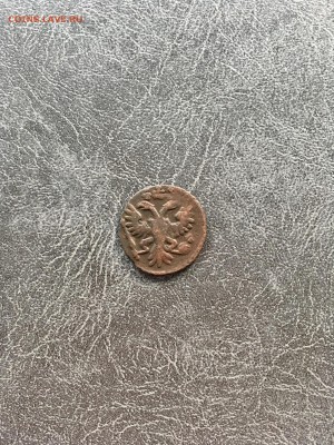 Полушка 1731 года перечекан. До 22:00 24.09.18 - 76375BCB-7913-47CD-BD0D-F46D69C2C3A2