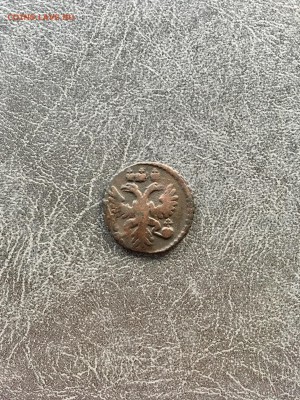 Полушка 1731 года перечекан. До 22:00 24.09.18 - 7985E8D8-B74F-4499-9DC0-DB3F2F06BA4C