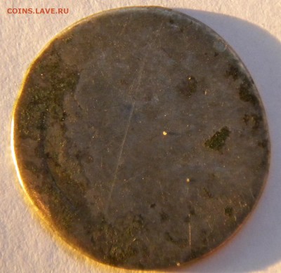 какалик серебришко индетифицировать - DSCN8748.JPG