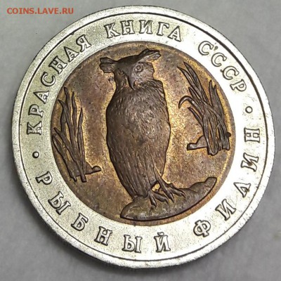 Красная книга 1991 Рыбный филлин до 26.09.2018 22:00 МСК - 20180920_232053