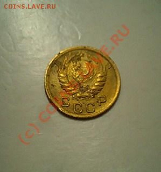 1.38 выкус - 103D1360.JPG