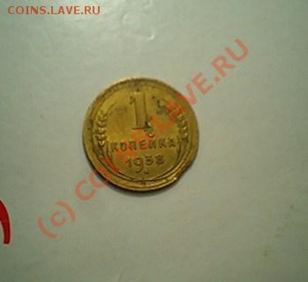 1.38 выкус - 103D1359.JPG
