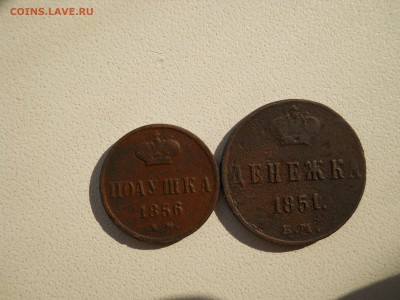 Полушка 1856 ем; Денежка 1851 ем.до 24.09.2018 в 22-00 по мс - DSCN3985.JPG