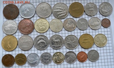 Монеты мира 30 шт. фауна. до 25.09.2018. 21.00 мск - DSC_4226.JPG