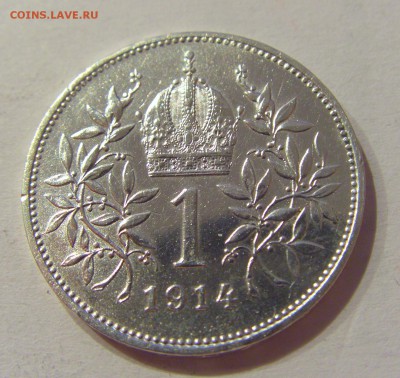 1 крона 1914 Австро-Венгрия №1 28.09.2018 22:00 МСК - CIMG2904.JPG