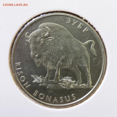Украина 2003 2 грн Зубр до 27.09 в 22.00 - 2003_Bison1