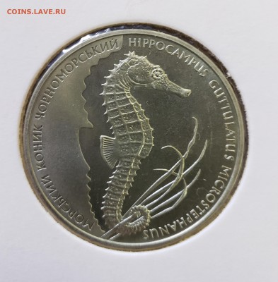 Украина 2003 2 грн Морской конек до 27.09 в 22.00 - 2003_Kon1