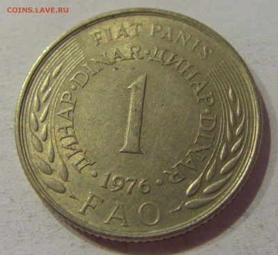 1 динар 1976 ФАО Югославия №1 29.09.2018 22:00 МСК - CIMG3376.JPG