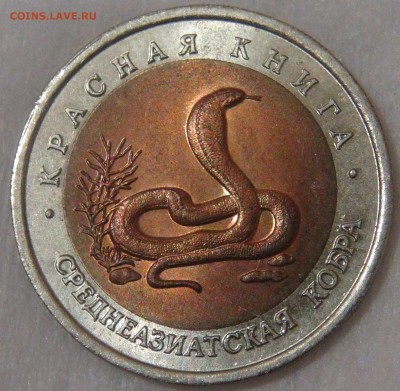 10 рублей 1992 Кобра с 200 рублей 26.09.18 (ср. 22-00) - DSC01232.JPG