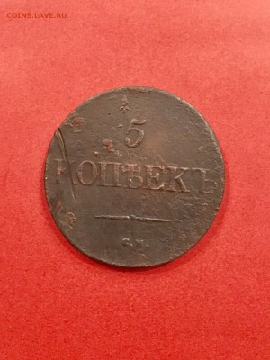 5 копеек 1831 года СМ масонский орёл. До 22:00 29.09.18 - BACBCFED-55E8-41D6-8304-D0EA76FC9783