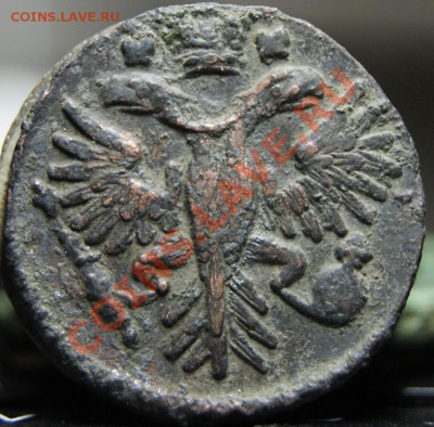 Денга 1731 года - 22