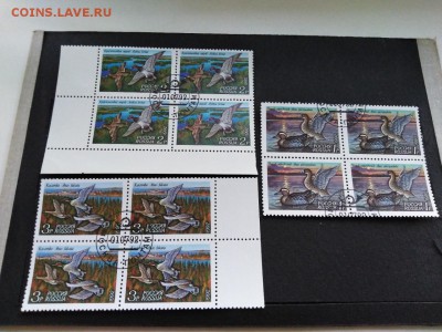 Акция:Плати за почту:Наборы марок(Россия,Мир) в подарок. - 1sBlM8r96k8