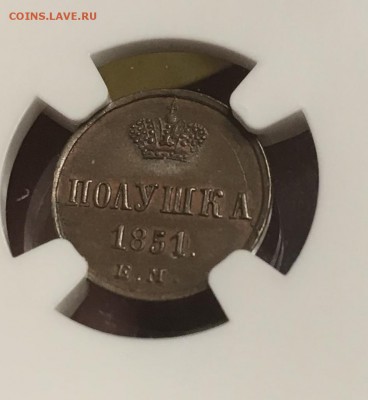 Полушка 1851 года ЕМ, unc, оценка - B6C6B26F-25E4-4325-8A8D-36259532A278