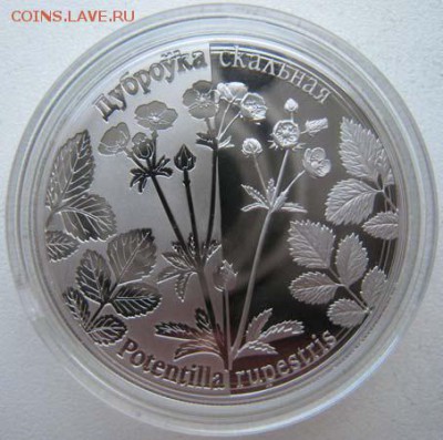 Новинка! Беларусь 1 руб Лапчатка скальная 29.09 22.00 - 5020867653_0