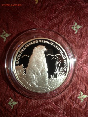 2 руб. Черношапочный сурок 2008г. до 30.09 - 1 (7)