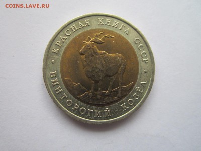 КК 1991 КОЗЕЛ 5 руб.  до 30.09.18 в 22:30 - IMG_2651.JPG