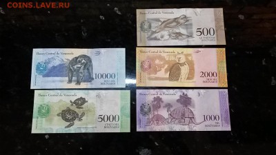 венесуэла набор банкнот 11 шт пресс UNC до1,10,18до22,00 - 20180927_100910