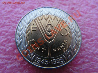 -БМ-Португалия- 100 эскудо 1995 фао -- 18 мая 22-00 - PICT0697.JPG