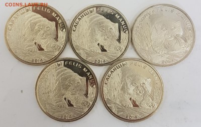 Казахстан 5 монет Манул с 200р до 02.10.2018 в 22.00 - ман1