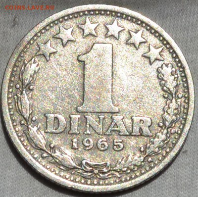 Югославия 1 динар 1965. 30. 09.2018. в 22 - 00. - DSC_0168