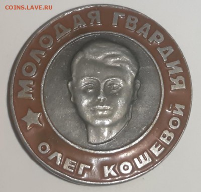 Коллекция значков. - P80823-201154