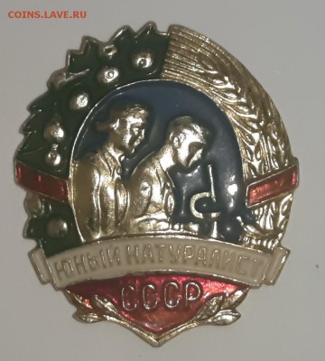 Коллекция значков. - P80823-202420