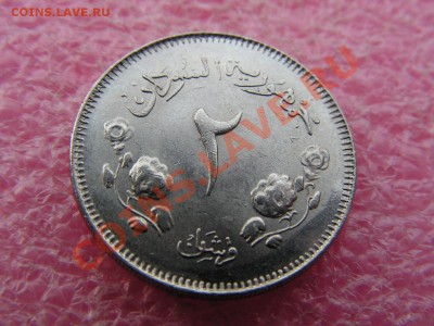 -Судан- 2 гирш 1963 -- 18 мая 22-00 - 105.JPG