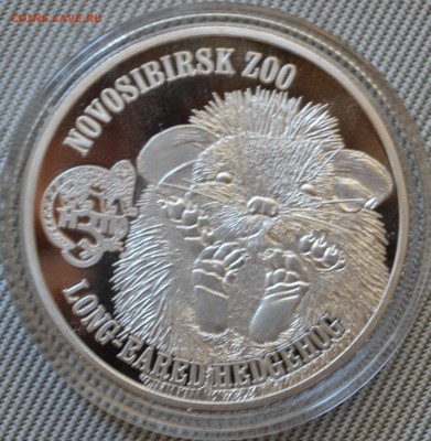 Британские Виргинские Острова ЗООПАРК 13шт 5.10.18 21мск - DSC_4926.JPG