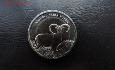 ТУРЦИЯ 1 лира 2015г., ДЖЕЙРАН ДО 05.10. - 1 лира 2015г., Баран 95. В..JPG