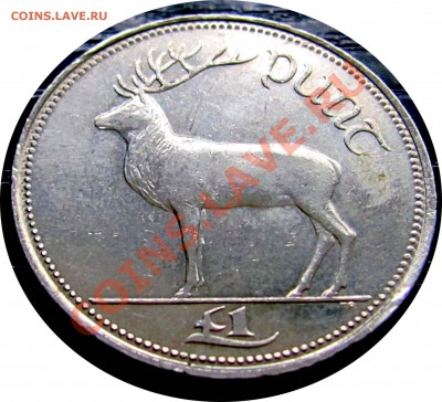 R56  Ирландия 1 фунт 1996 (олень) до 20.05 в 22°° - R56 1 pound 1996_1