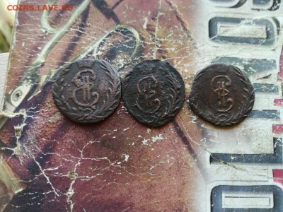 денга сибирь 1768, 1769, 1771 до 04.10.18г. - 3сиб (2) - копия