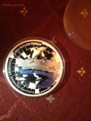 1 доллар Касатка. Австралия 2011г. до 07.10 - Mu_qKQiO5K8