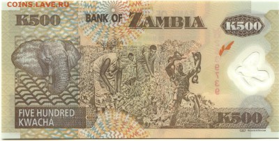 С 1 рубля 500 квача 2011 г., Замбия, пресс, до 22:00 3.10.18 - Замбия 500 квача 2011-2