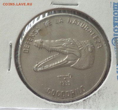 КУБА - 1 песо КРОКОДИЛ до 9.10, 22.00 - Куба 1 п 1985 защита природы Крокодил_1