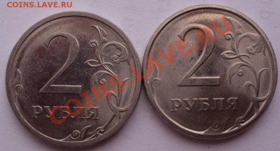 Несколько браков на оценку. - DSC01361.JPG