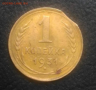 1 копейка 1931 выкус по ФИКСУ - IMG_20181002_130822