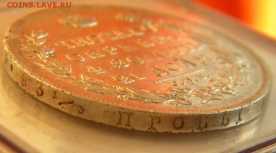 AU) - 161.JPG