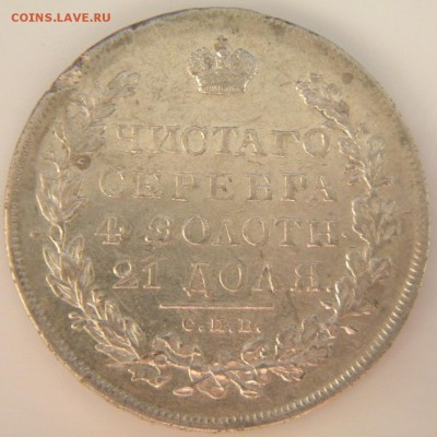 AU) - 153.JPG