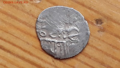 Орда? - 20181004_101553