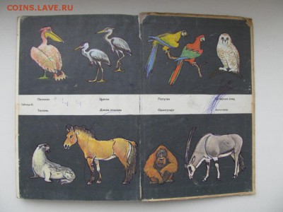 Природоведение. Учебник для 4-го класса. 1973 г. до 09.10. - IMG_1695.JPG