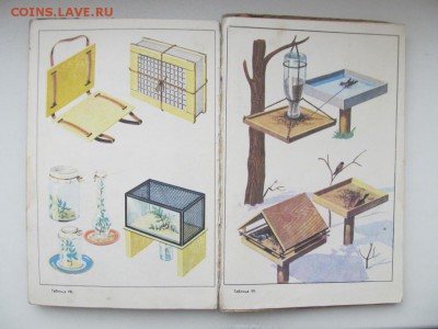 Природоведение. Учебник для 4-го класса. 1973 г. до 09.10. - IMG_1694.JPG