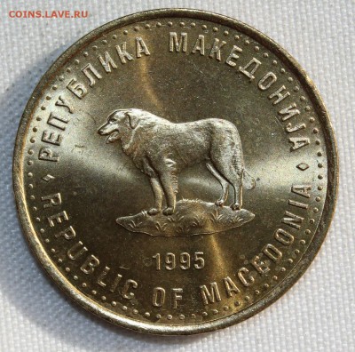 С РУБ.F.A.O. МАКЕДОНИЯ 1 денар 1995г. РЫБА UNC до 12.10 - IMG_4567.JPG