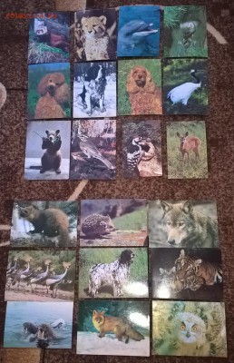 СССР ПК фауна чистые 21шт - 7