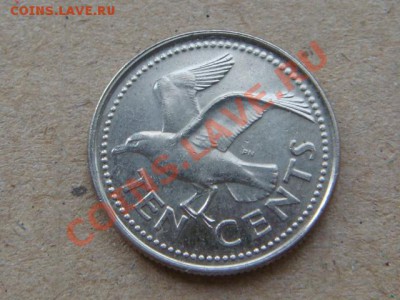 -v- Барбадос 10 центов 1998 Чайка до 20.05(21.00) - DSC02228.JPG